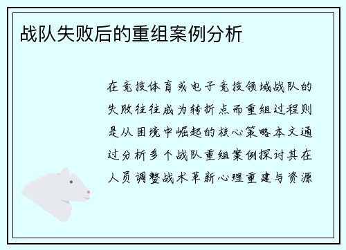 战队失败后的重组案例分析